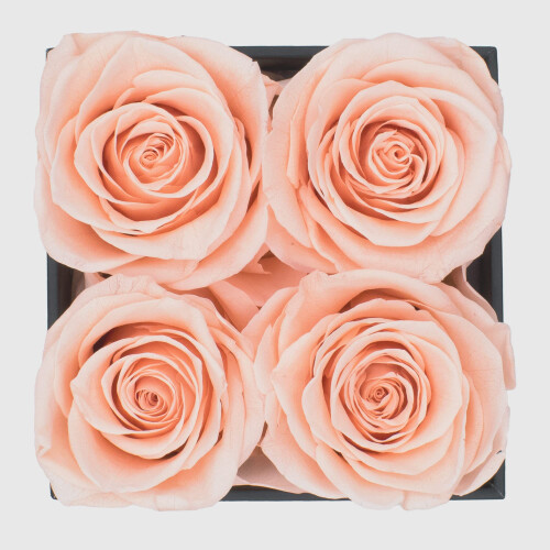 Graceful Fleurs | Αληθινές Ροζ για Χρόνια | Διατηρημένα Φρέσκα Λουλούδια για Γενέθλια 1