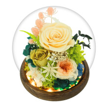 GLAMOUR BOUTIQUE Geconserveerde bloemen Roos in glazen koepel met licht - Langdurige bloemen Bloemencadeaus voor vrouwen voor elke gelegenheid - Woon