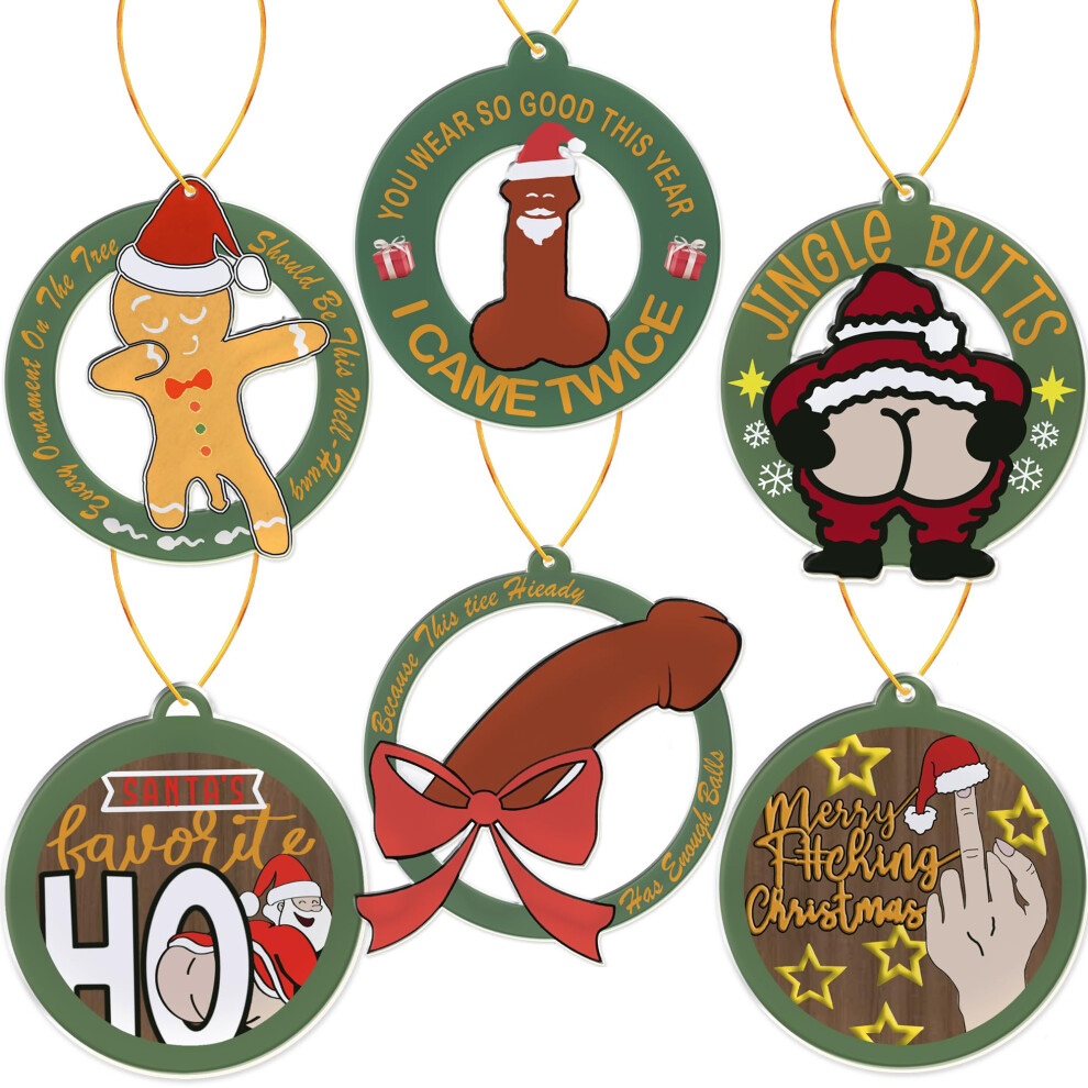 Gadluckki Lot De 6 D Corations De Sapin De No L Amusantes En Acrylique Motif P Re No L 2024-image