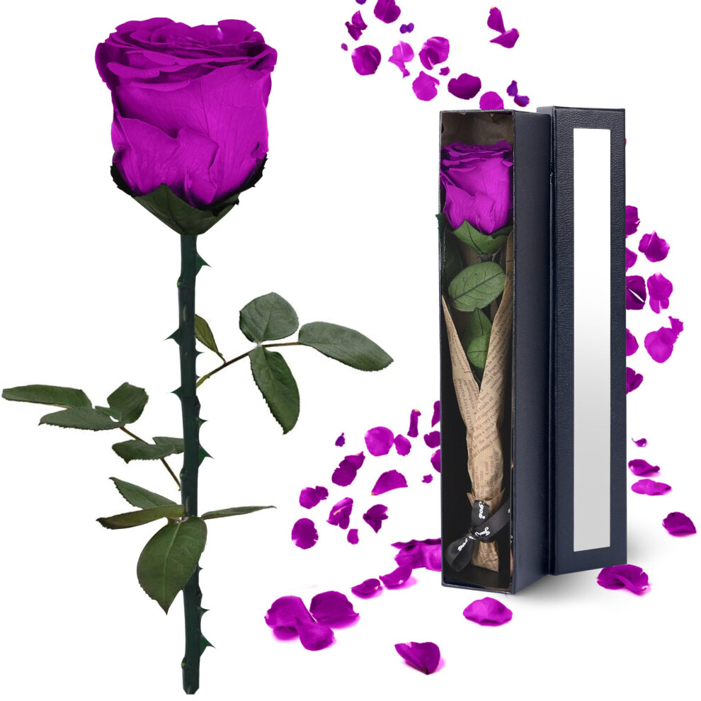 Forever Flowers Gifts for Women: Purple Roses Birthday Rose Christmas Anniversary Mother's Day Gift for Mom Girlfriend Wife Grandma-image-OPC-PG2F9NW-NEW