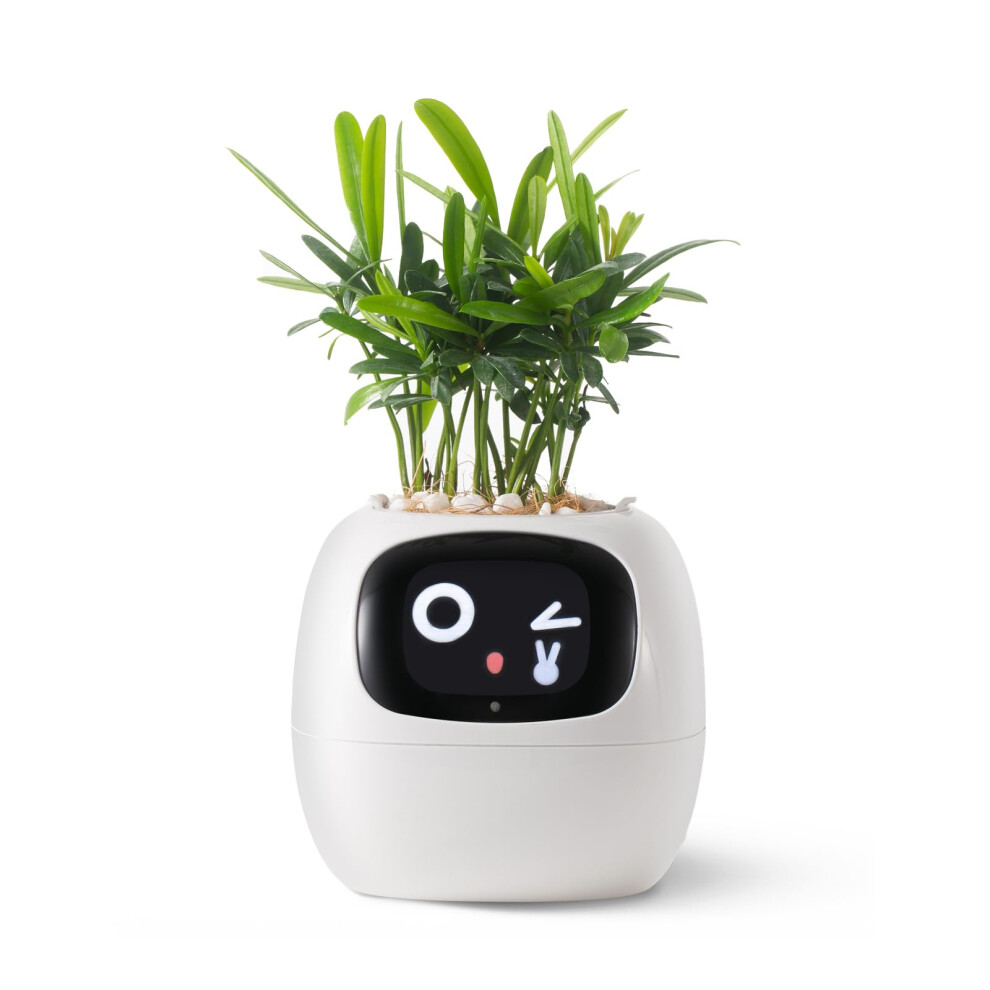 Plantsio Endless Fun Smart Pet Planter Ivy, 70 Espressioni, 7 Sensori Intelligenti E Chip Ai Rendono L'allevamento Delle Piante Facile E Divertente (Bianco)-image