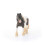 Schleich Schleich Farm World, Ρεαλιστικά παιχνίδια αλόγων για κορίτσια και αγόρια, Tinker Stallion, 3+ 2