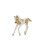 Schleich Schleich Paint Horse Foal 2024 2