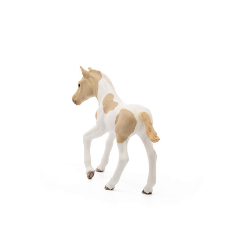 Schleich Schleich Paint Horse Foal 2024 2