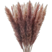 (As show, One size) 30Pcs Pampas Grass, Natural Reed Feather Dried Flowers for Rustic & Farmhouse Decor, 17-Inch Real Touch Feathers