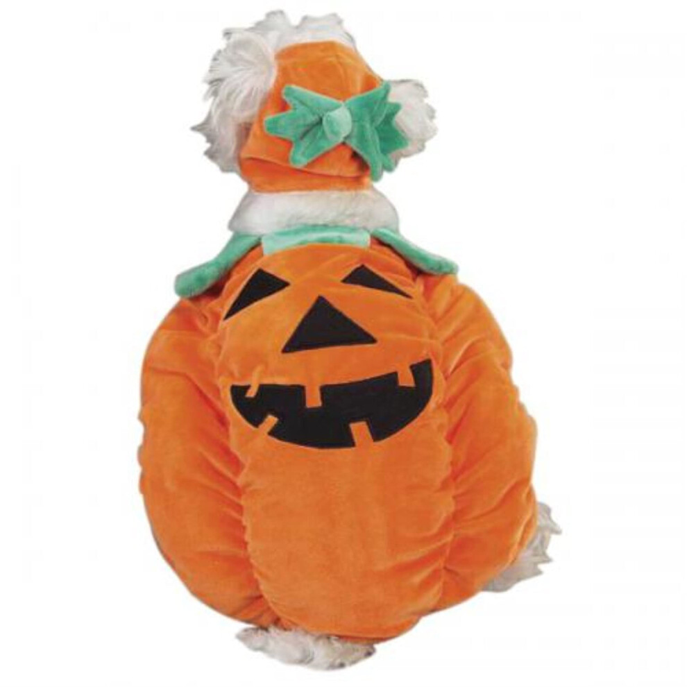 Costume de chien citrouille Zack & Zoey, taille M, orange