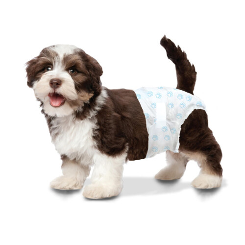 Four Paws Wee-Wee p??e?    ?a? ???s?? ??a s?????? X-Small (12 te   ???a) 1