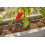 Gardena Gardena 13400-20 Micro-Drip-Irrigation Terrace Set  One Size  Multicolor 4