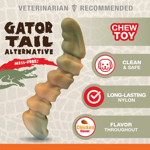 Nylabone Nylabone P 2