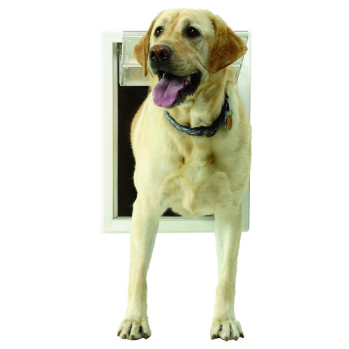Ideal Pet 1