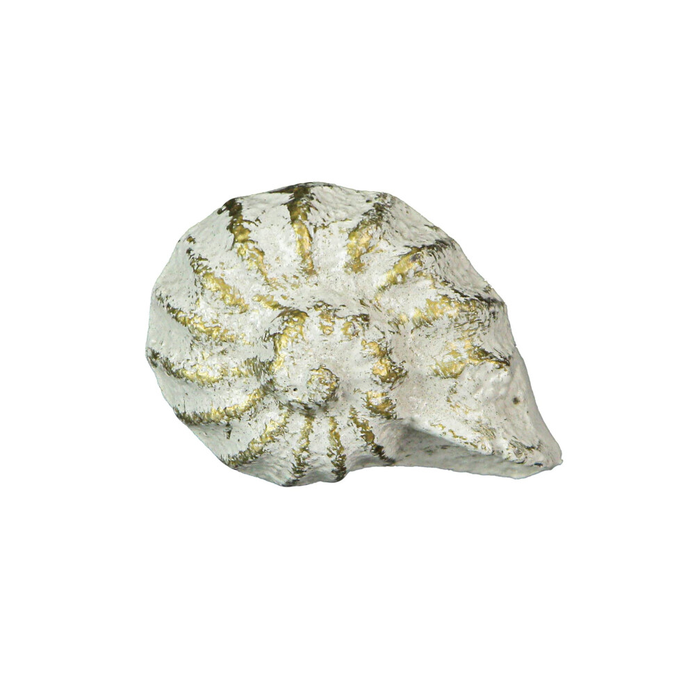 Photos - Furniture Hardware Zeckos Set of 6 Rustic Antique White Finish Cast Iron Nautilus Shell Drawer Pulls - 2 Inches Long - Nautical Seashell Cabine