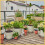 Gardena Balkon-Set für Einsteiger - bis zu 15 Pflanzen - 13401-20 3