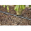 Gardena Initiatiekit - GARDENA - 50 m druppelslang met ingebouwde druppelaars en eindstop. 3
