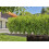 Gardena Initiatiekit - GARDENA - 50 m druppelslang met ingebouwde druppelaars en eindstop. 4