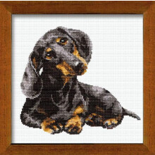 RIOLIS - Kits de ponto cruz para ces Dachshund 906 9 84"""" x 9 84"""" Kits de ponto cruz contados Kits de ponto cruz contados para iniciantes e kit