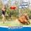 Chuckit! Chuckit! Flying Squirrel 4