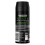 Lynx Lynx Br: Africa Body Spray, 150 ml 4