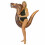Noodle Gonflable Animalier T-Rex Ride-On 1