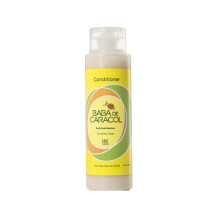 Baba de Caracol Shampoo rigenerante Terra Snail Moisture 16 once