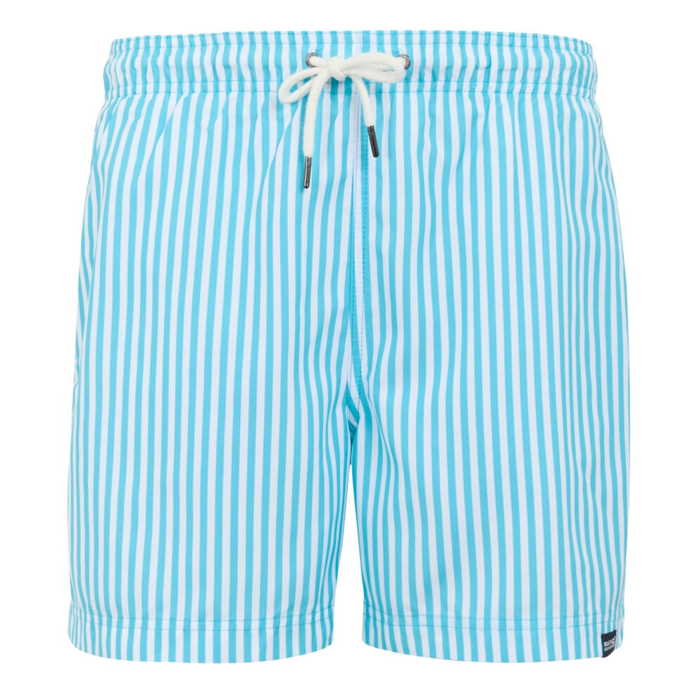(L, Aquarius Blue) Regatta Mens Loras Striped Swim Shorts