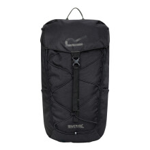 (One Size, Ash) Regatta Survivor V 25L Backpack