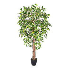 (6 Ft (180 cm), Variegated) Artificial Ficus Tree with Twisted Real Wood Trunk