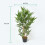 Homescapes Homescapes Green 3ft Bamboo Tree Artificial Plant with Pot, 95 cm 4