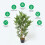 Homescapes Homescapes Green 3ft Bamboo Tree Artificial Plant with Pot, 95 cm 5