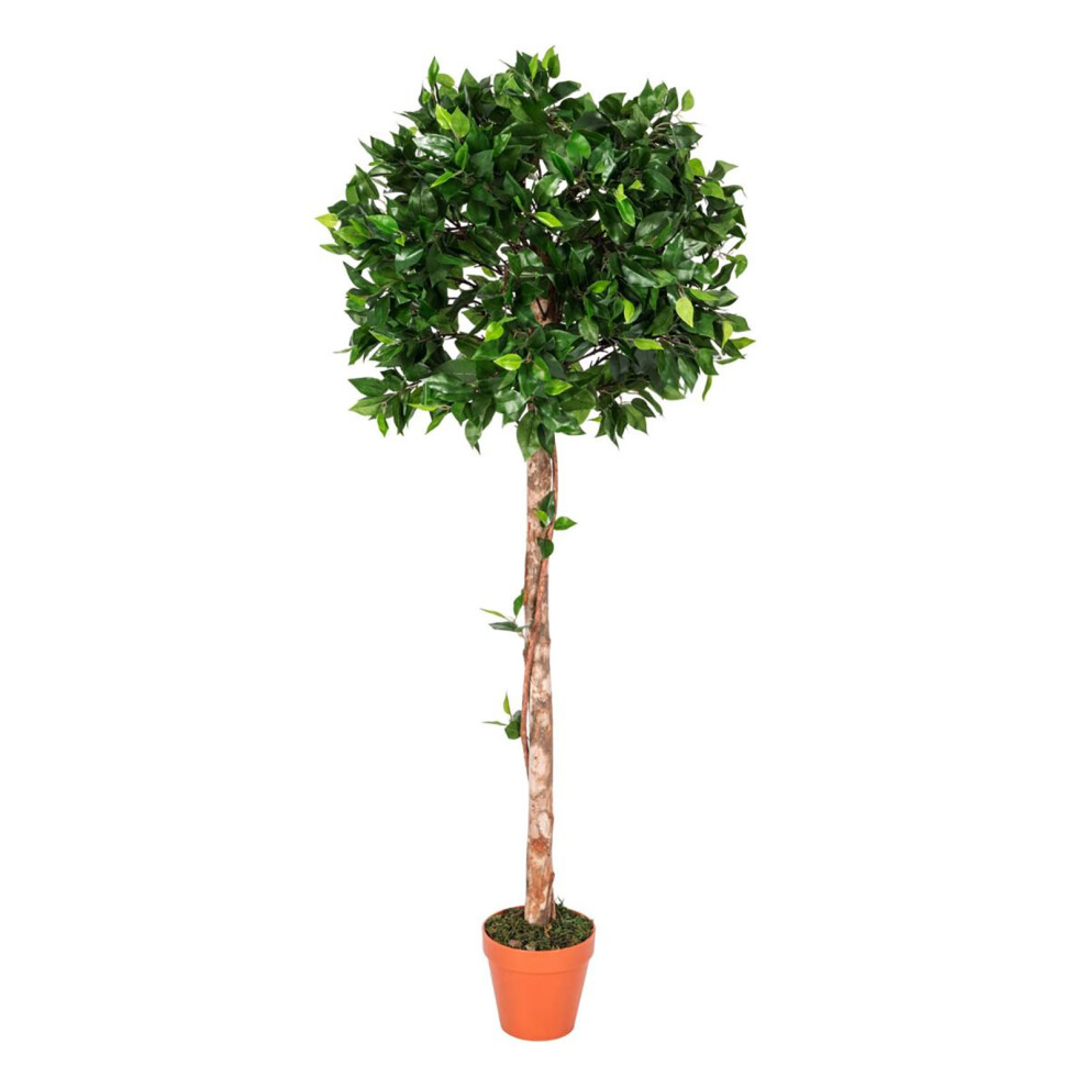 Homescapes 4Ft Ficus Topiary Artificial Tree With Pot, 125 Cm Green