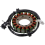 4TX-81410-00 Motorfietsgenerator stator spoel voor 1