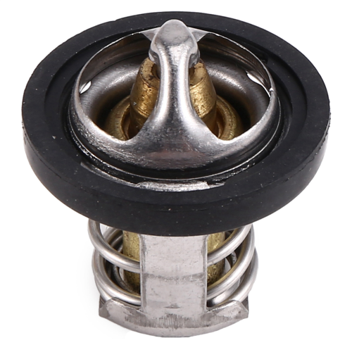 420222494 Termostato per / Max 800 1