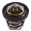 420222494 Termostato per / Max 800 1