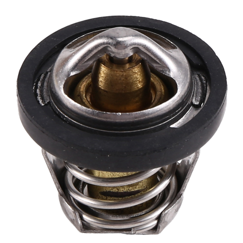 420222494 Termostato per / Max 800