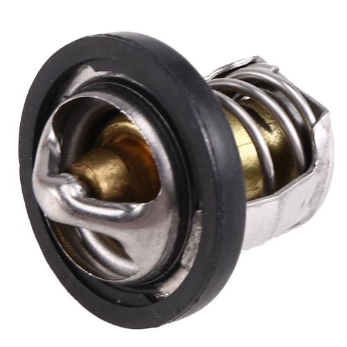 420222494 Termostato per / Max 800 2