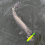Fishing Lure 170mm 40g Jointed Wobblers για Λούτσους και Λαβράκια 5