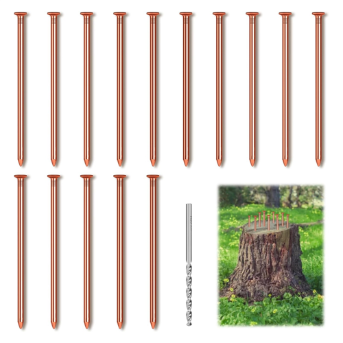 15Pcs Copper Nails for Killing Trees Stump Root, 3.14 Inch 1