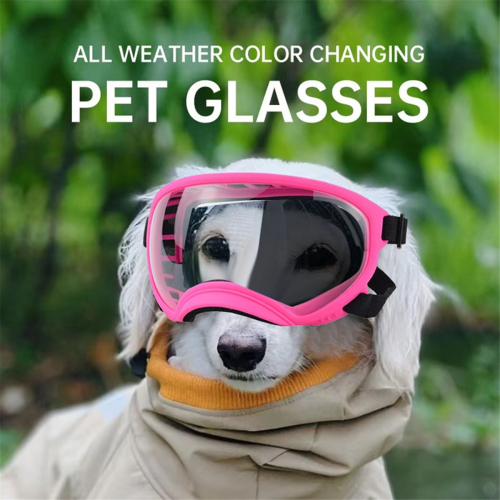 Lunettes de soleil changeantes de couleur pour animaux de compagnie, taille M 2