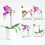 60-delars växtstödsset - 20-pack blomväxtpinnar (3 storlekar) 2