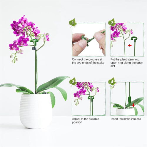 60-delars växtstödsset - 20-pack blomväxtpinnar (3 storlekar) 1