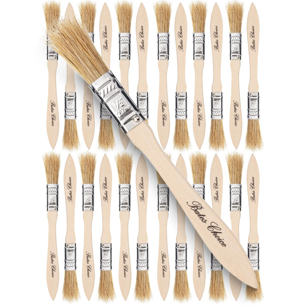 Bates- Chip Paint Brushes  1/2 Inch  24 Pack  Chip Brush  Brushes for Painting  Paint Brushes  Stain Brushes for Wood  Natural Bristle Paint Brush  1/