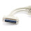 CablesOnline 8 inch DB25 Parallel Male/Dual Female Y-Splitter Printer 4
