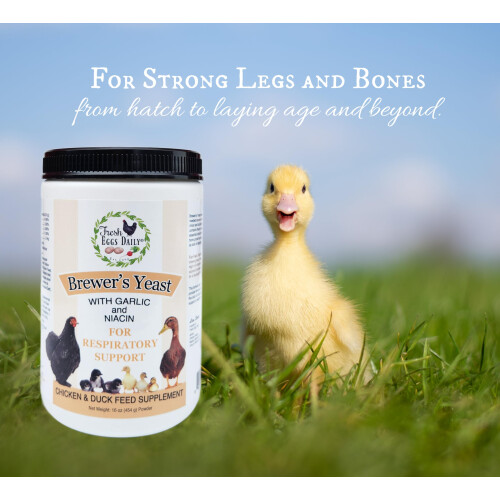Levure de Bière avec Ail et Niacine pour Canards et Canetons Complément Alimentaire 1LB 1