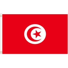 (3' x 2' - 90cm x 60cm) Tunisia National Polyester Flag