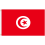 (3' x 2' - 90cm x 60cm) Tunisia National Polyester Flag 1