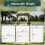 3*3M Metal Wedding DIY Decoration Arch Stand 2