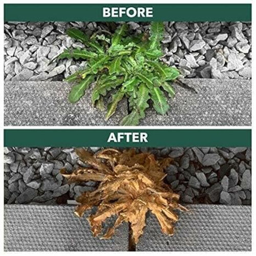 Enviro Works Weed Gone 2 x 5L Fast Acting Weedkiller