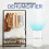 Belaco 20l per day Dehumidifier with timer 6