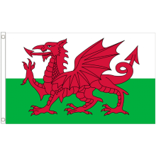 (3' x 2' - 90cm x 60cm) Wales Welsh Dragon National Polyester Flag