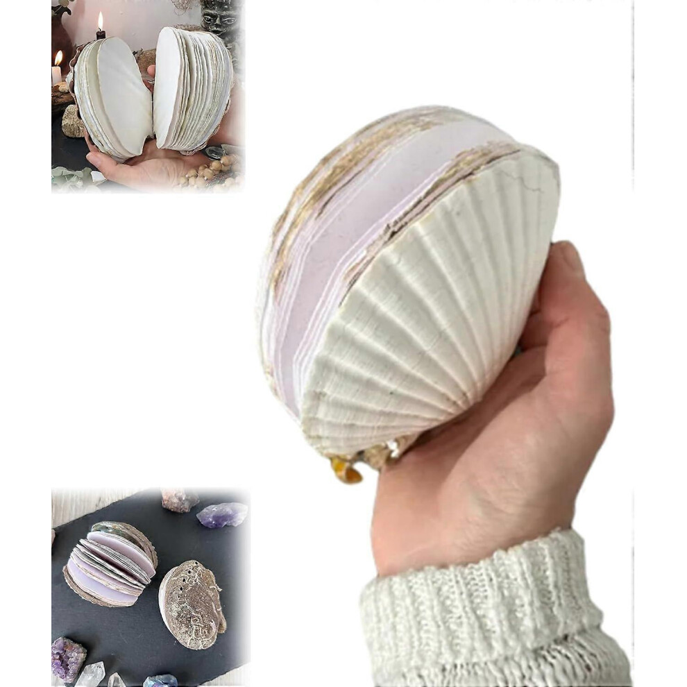 (40 pages) Abalone Shell/Lions Paw Shell/Scallop Shell Journal,Unique Premium Hardcover Ocean Series Sticky Note Pad Natural Shells Textures Creative Sketchbook