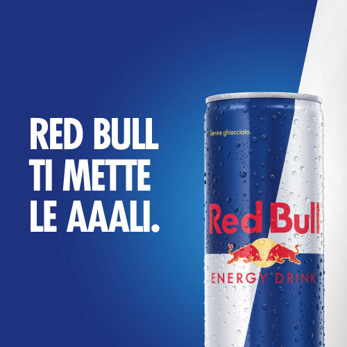 Red Bull Red Bull Energy Drink, 355 ml (24 Lattine) 1
